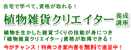 ��ʪ���ߥ��ꥨ�����������ֺ�